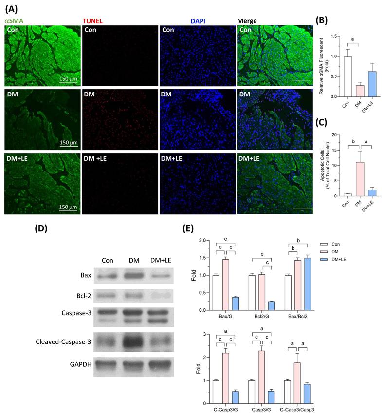 Int J Med Sci Image