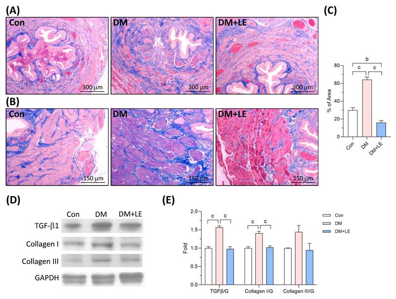 Int J Med Sci Image