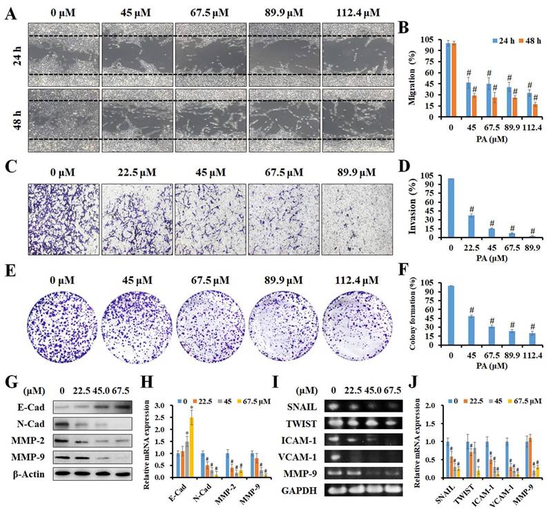 Int J Med Sci Image