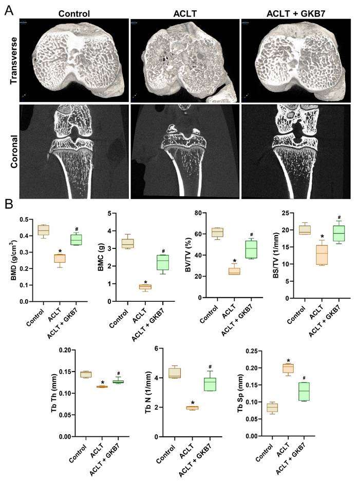 Int J Med Sci Image