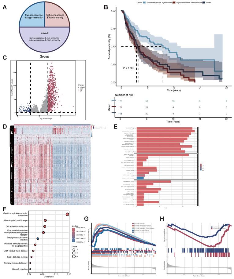 Int J Med Sci Image