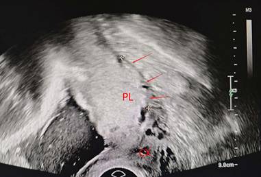 Int J Med Sci Image