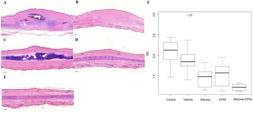 Int J Med Sci Image