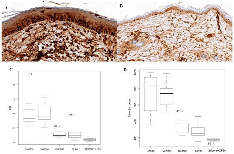 Int J Med Sci Image