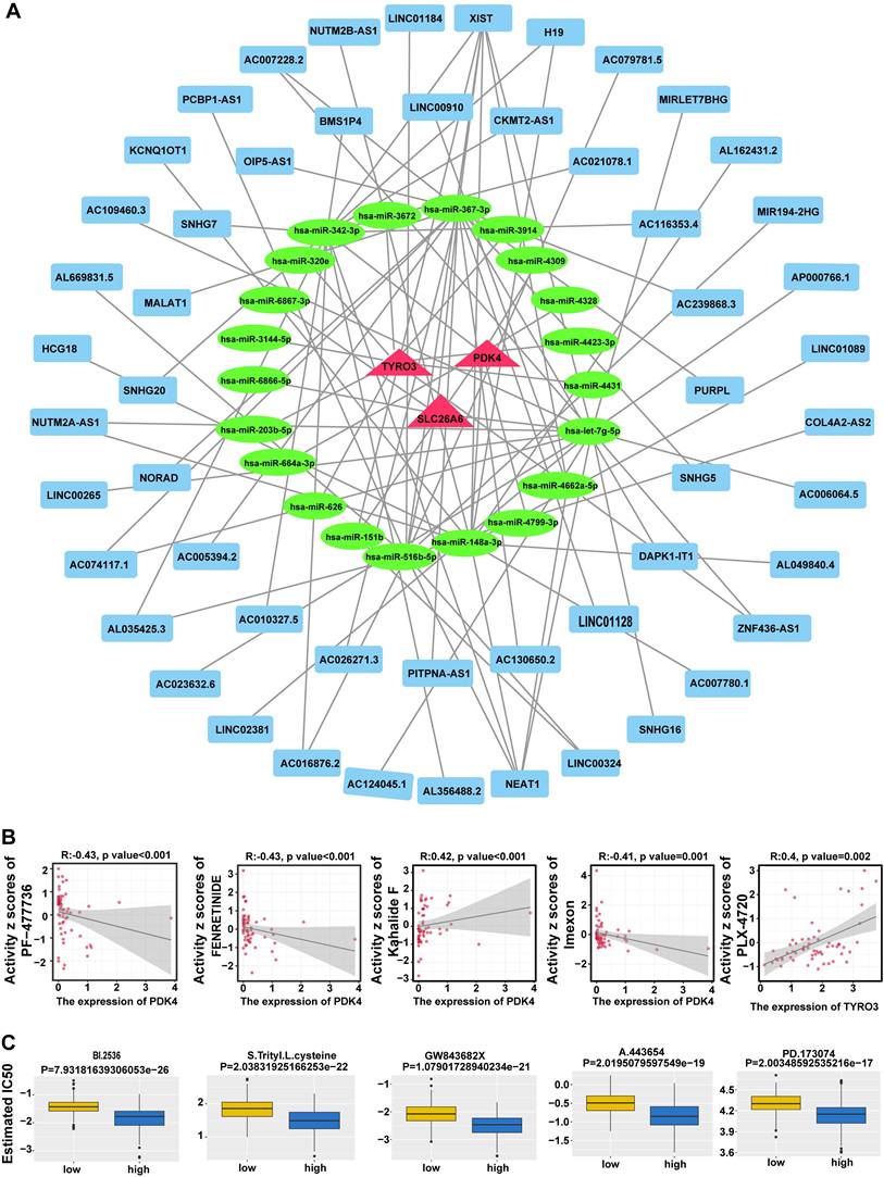 Int J Med Sci Image