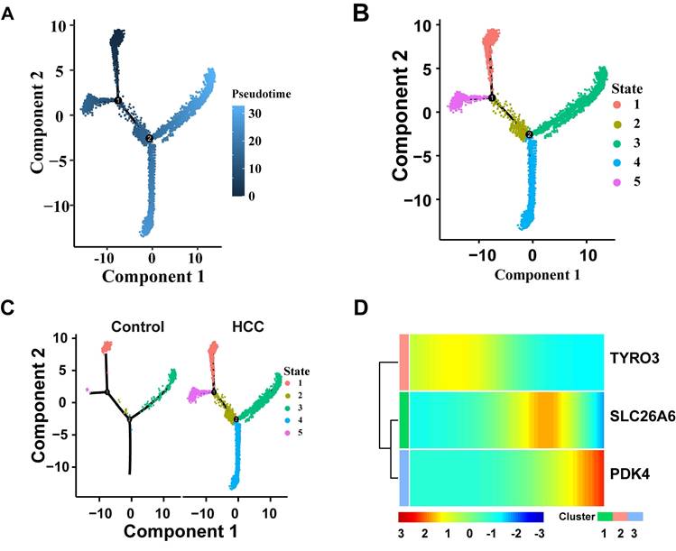 Int J Med Sci Image