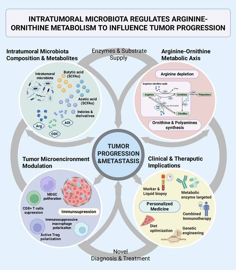 Int J Med Sci Image