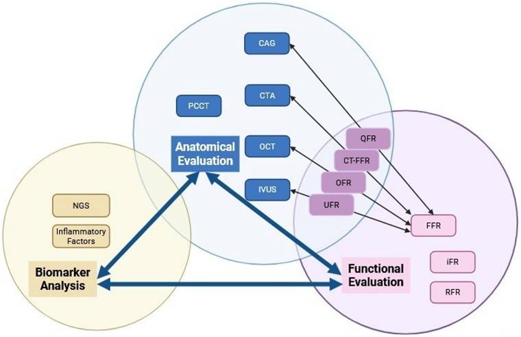 Int J Med Sci Image