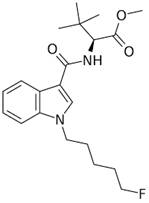 Int J Med Sci Image