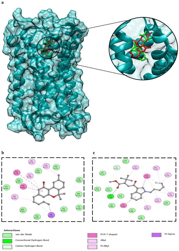Int J Med Sci Image
