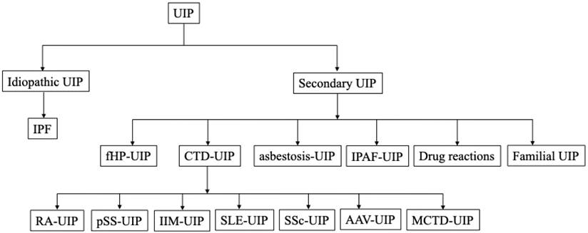 Int J Med Sci Image