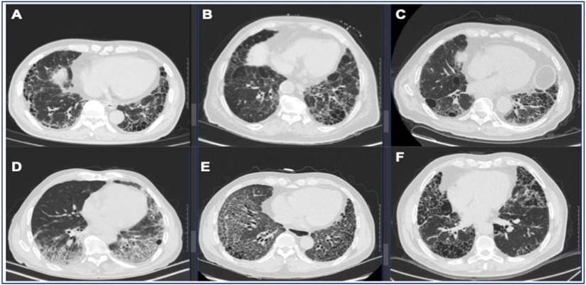 Int J Med Sci Image