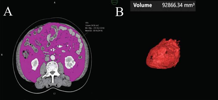 Int J Med Sci Image