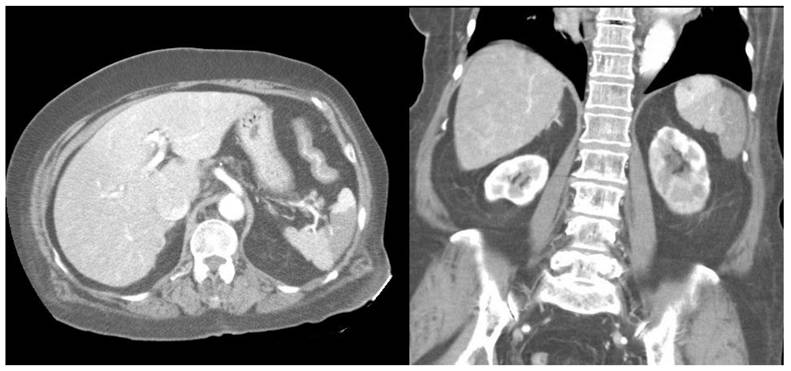 Int J Med Sci Image
