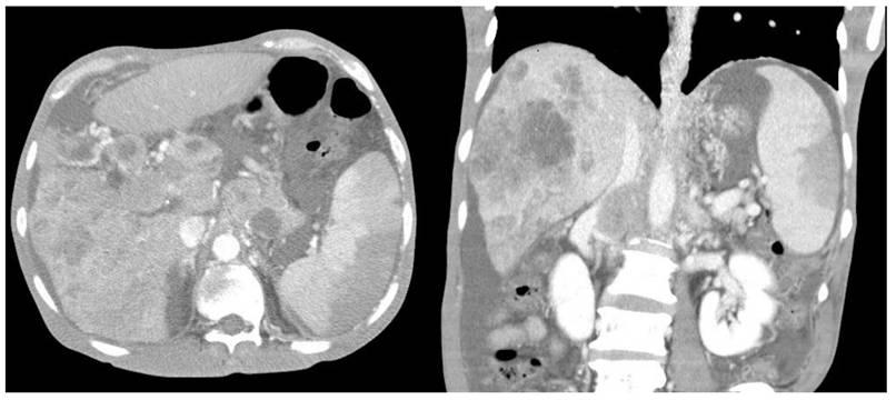 Int J Med Sci Image