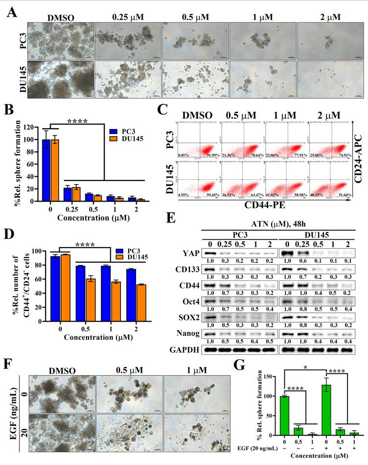 Int J Med Sci Image