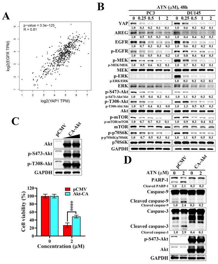 Int J Med Sci Image