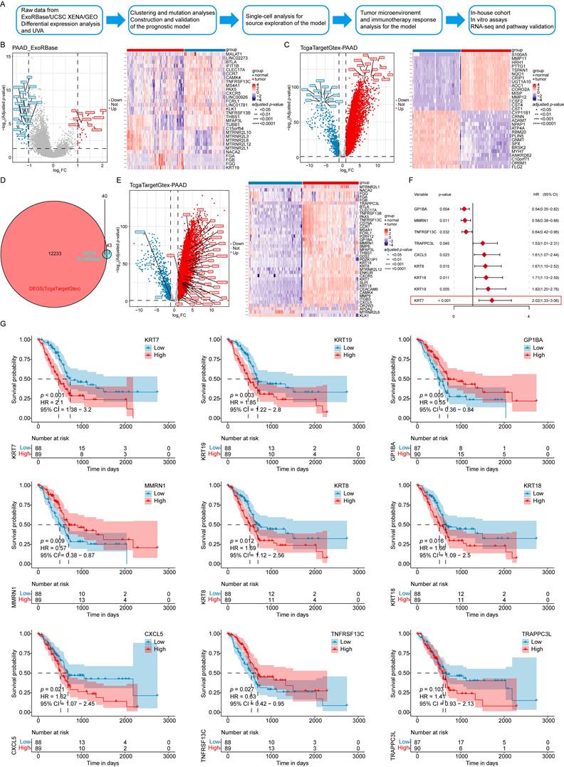 Int J Med Sci Image