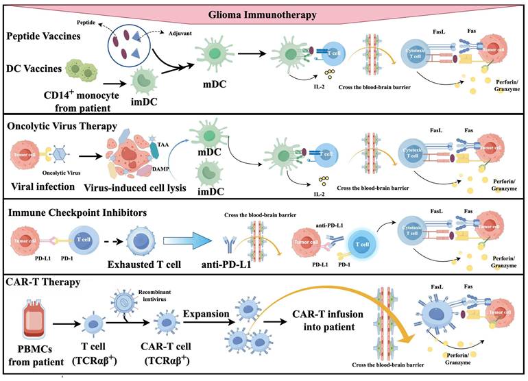 Int J Med Sci Image