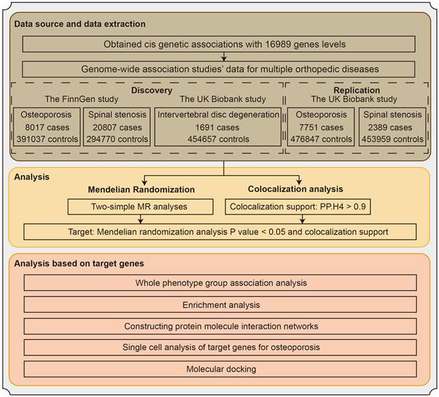 Int J Med Sci Image