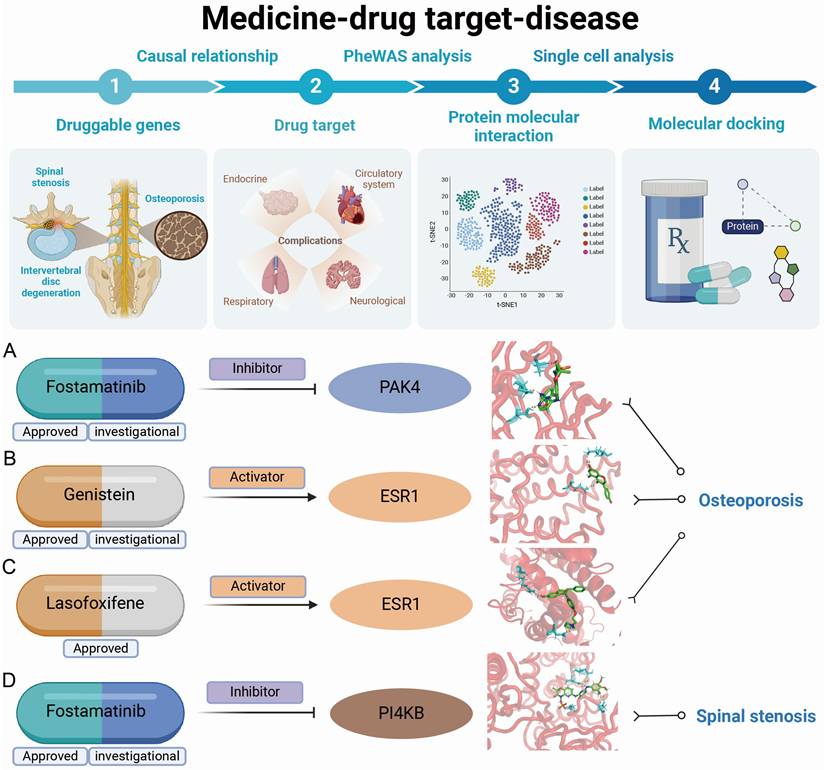 Int J Med Sci Image
