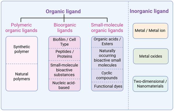 Int J Med Sci Image