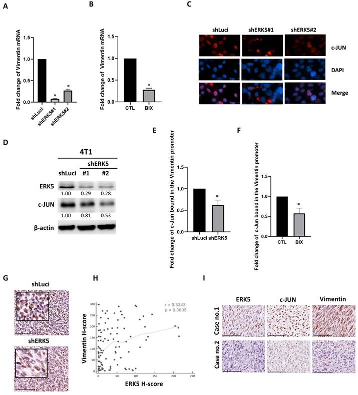 Int J Med Sci Image