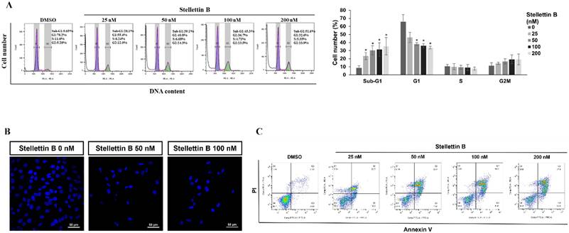 Int J Med Sci Image