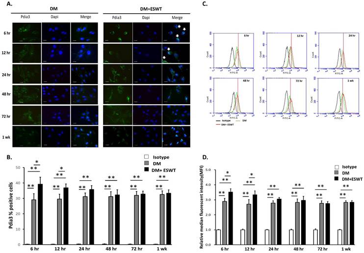 Int J Med Sci Image