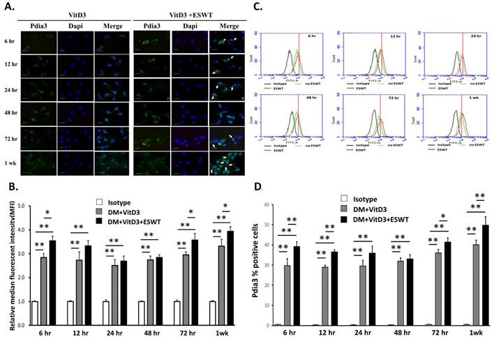 Int J Med Sci Image