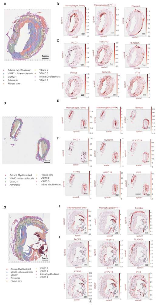 Int J Med Sci Image