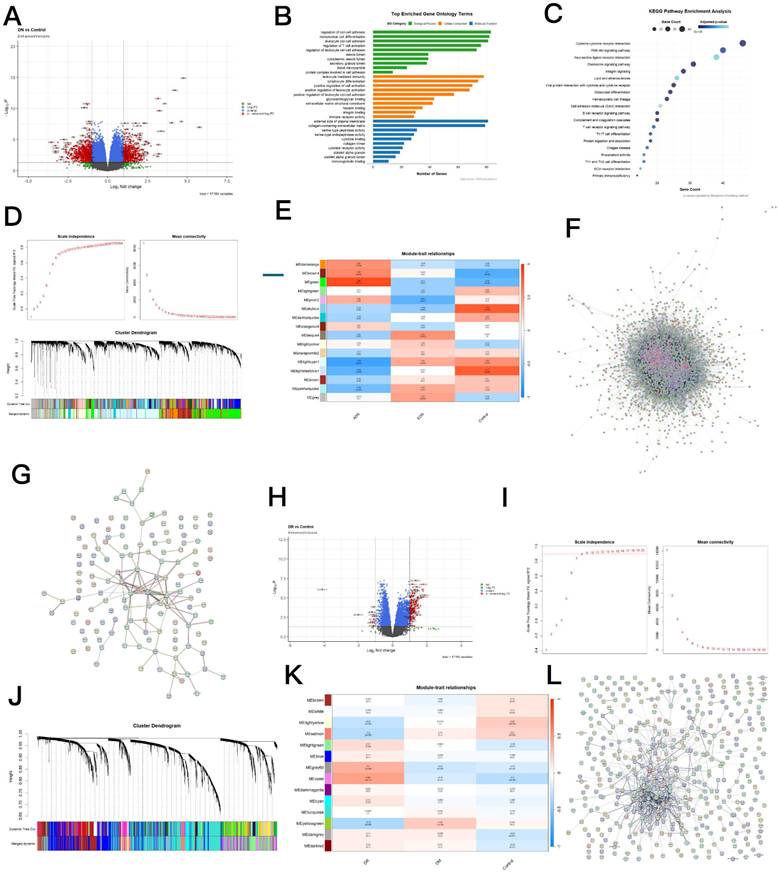 Int J Med Sci Image