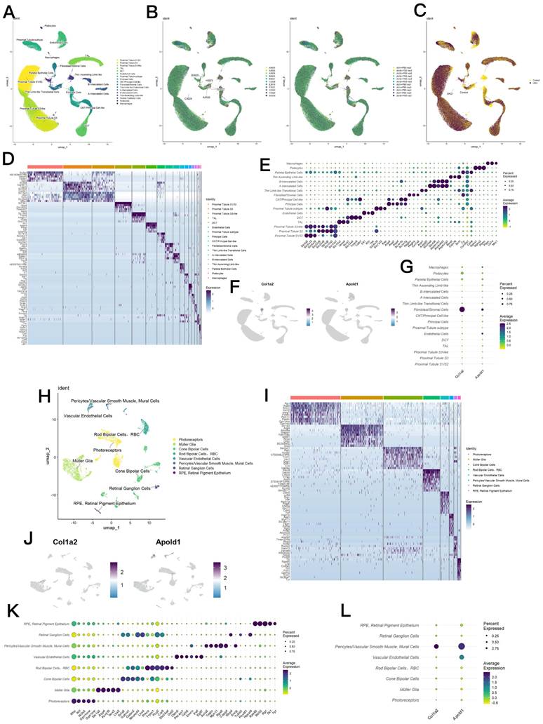 Int J Med Sci Image