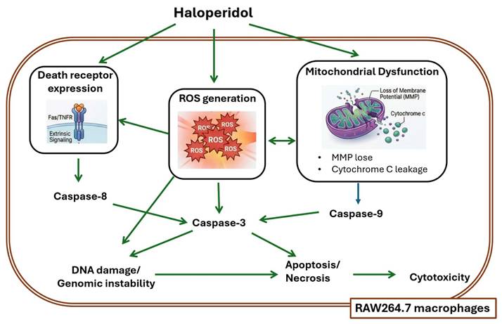 Int J Med Sci Image