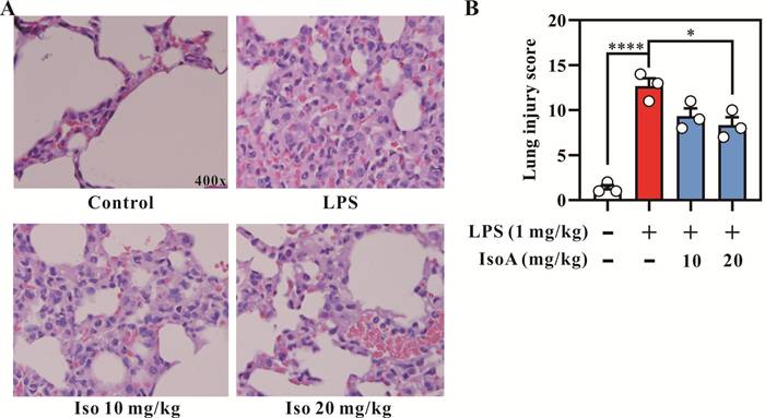 Int J Med Sci Image