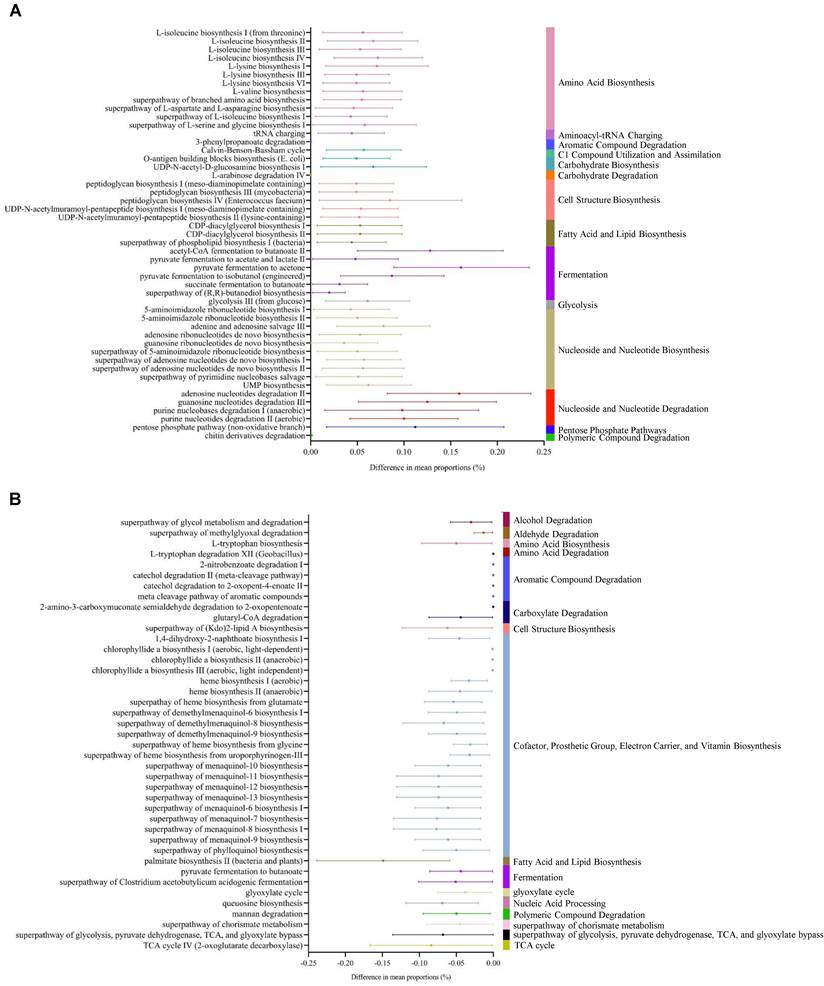 Int J Med Sci Image
