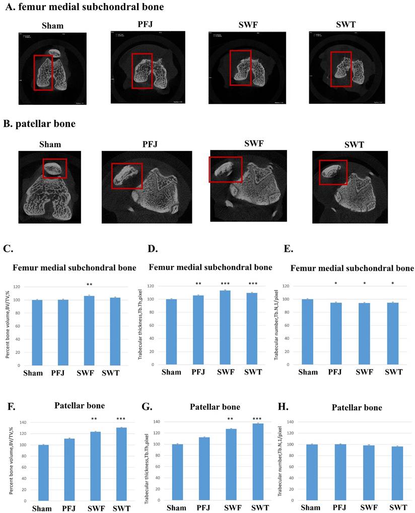 Int J Med Sci Image