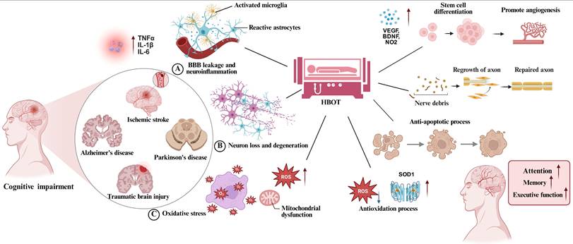 Int J Med Sci Image