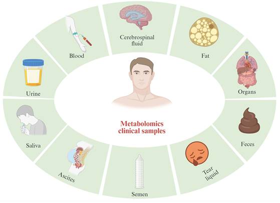 Int J Med Sci Image