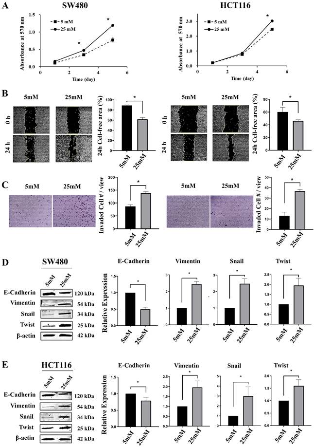 Int J Med Sci Image