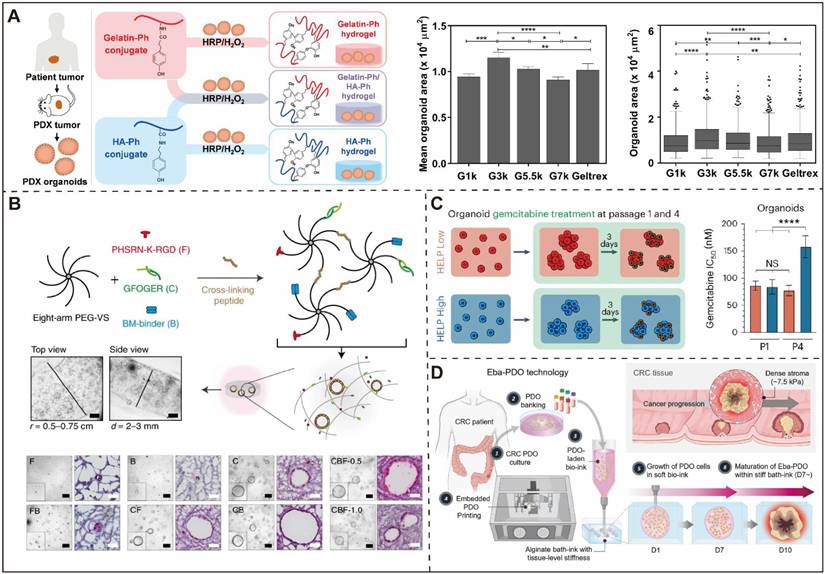 Int J Med Sci Image