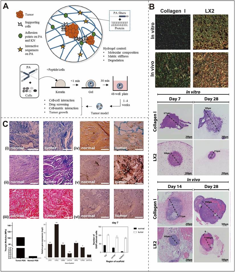 Int J Med Sci Image